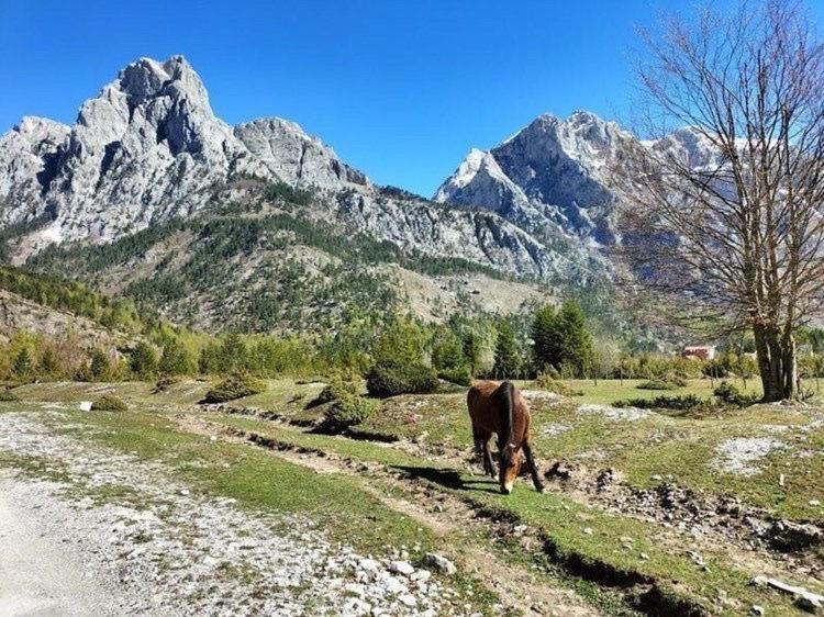 Bed and Breakfast Bujtina Arlindi Valbone Exterior foto