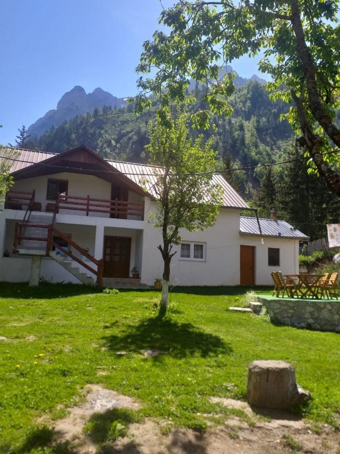 Bed and Breakfast Bujtina Arlindi Valbone Exterior foto